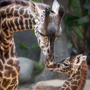 Meet your Posher, Carla